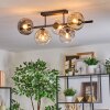 Ripoll ceiling light, globe light Amber, clear, Smoke-coloured, 5-light sources