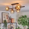 Ripoll ceiling light, globe light Amber, clear, Smoke-coloured, 5-light sources