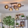 Ripoll ceiling light, globe light chrome, clear, Smoke-coloured, 5-light sources