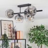 Ripoll ceiling light, globe light clear, Smoke-coloured, 5-light sources