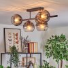 Koyoto ceiling light, globe light clear, Smoke-coloured, 5-light sources