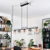 Koyoto hanging light, globe light, pendant light Amber, clear, Smoke-coloured, 5-light sources