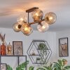 Ripoll ceiling light, globe light Amber, clear, Smoke-coloured, 8-light sources