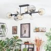 Ripoll ceiling light, globe light Amber, clear, Smoke-coloured, 8-light sources