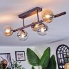 Chehalis ceiling light, globe light Amber, clear, Smoke-coloured, 5-light sources