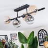 Chehalis ceiling light, globe light Amber, clear, Smoke-coloured, 5-light sources