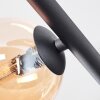 Chehalis ceiling light, globe light Amber, Smoke-coloured, 5-light sources