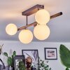 Chehalis ceiling light, globe light white, 5-light sources