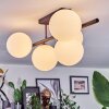 Chehalis ceiling light, globe light white, 5-light sources