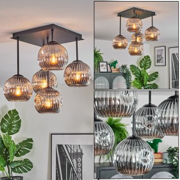 Ripoll ceiling light, globe light Smoke-coloured, 5-light sources