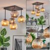 Ripoll ceiling light, globe light Amber, Smoke-coloured, 5-light sources