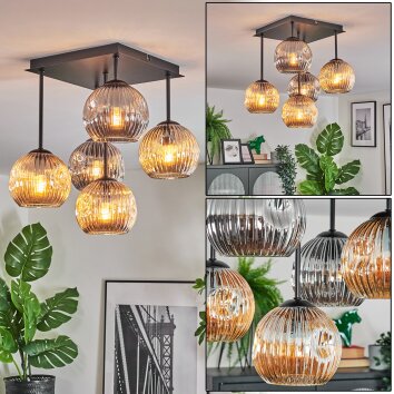 Ripoll ceiling light, globe light Amber, Smoke-coloured, 5-light sources