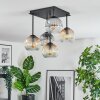 Ripoll ceiling light, globe light Amber, clear, Smoke-coloured, 5-light sources