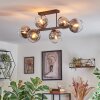 Koyoto ceiling light, globe light clear, Smoke-coloured, 6-light sources