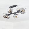 Koyoto ceiling light, globe light clear, Smoke-coloured, 6-light sources