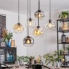 Ripoll hanging light, globe light, pendant light Amber, clear, Smoke-coloured, 6-light sources