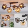 Ripoll ceiling light, globe light black, 5-light sources
