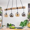 Ripoll hanging light, globe light, pendant light Ecru, black, 4-light sources