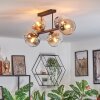 Koyoto ceiling light, globe light Amber, clear, Smoke-coloured, 6-light sources