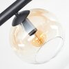 Koyoto ceiling light, globe light Amber, clear, Smoke-coloured, 6-light sources