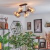 Koyoto ceiling light, globe light Amber, clear, Smoke-coloured, 6-light sources