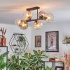 Koyoto ceiling light, globe light Amber, clear, Smoke-coloured, 6-light sources