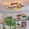 Koyoto ceiling light, globe light Amber, clear, Smoke-coloured, 5-light sources