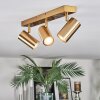 Javel ceiling light, ceiling spotlight gold, 3-light sources