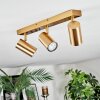 Javel ceiling light, ceiling spotlight gold, 3-light sources