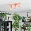 Javel ceiling light, ceiling spotlight pink, white, 3-light sources