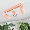 Javel ceiling light, ceiling spotlight pink, white, 3-light sources