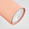 Javel ceiling light, ceiling spotlight pink, white, 3-light sources