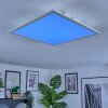 Orain ceiling light, Panel LED white, 1-light source, Colour changer