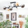 Koyoto ceiling light, globe light Amber, chrome, clear, Smoke-coloured, 8-light sources