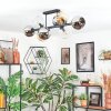 Koyoto ceiling light, globe light Amber, chrome, clear, Smoke-coloured, 8-light sources