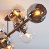 Koyoto ceiling light, globe light Amber, chrome, clear, Smoke-coloured, 8-light sources