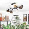 Koyoto ceiling light, globe light Amber, chrome, clear, Smoke-coloured, 8-light sources