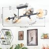 Koyoto ceiling light, globe light Amber, clear, Smoke-coloured, 8-light sources