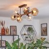 Koyoto ceiling light, globe light Amber, clear, Smoke-coloured, 8-light sources