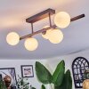 Chehalis ceiling light, globe light black, 5-light sources