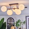 Chehalis ceiling light, globe light black, 5-light sources
