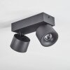 Narel ceiling light, ceiling spotlight LED black, 2-light sources