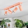 Javel ceiling light, ceiling spotlight pink, white, 4-light sources