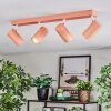 Javel ceiling light, ceiling spotlight pink, white, 4-light sources