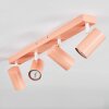 Javel ceiling light, ceiling spotlight pink, white, 4-light sources