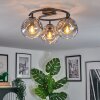 Ripoll ceiling light, globe light clear, Smoke-coloured, 3-light sources