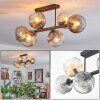 Ripoll ceiling light, globe light Amber, clear, Smoke-coloured, 6-light sources