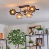 Ripoll ceiling light, globe light chrome, clear, Smoke-coloured, 5-light sources
