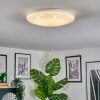 Peran ceiling light LED white, 1-light source, Colour changer