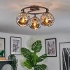Ripoll ceiling light, globe light Smoke-coloured, 3-light sources